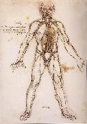 LEONARDO da Vinci You branching of the Blutgefabe, anatomical figure with heart kidneys and Blutgefaben oil painting reproduction